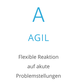 A AGIL Flexible Reaktion  auf akute  Problemstellungen