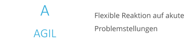 A AGIL Flexible Reaktion auf akute Problemstellungen